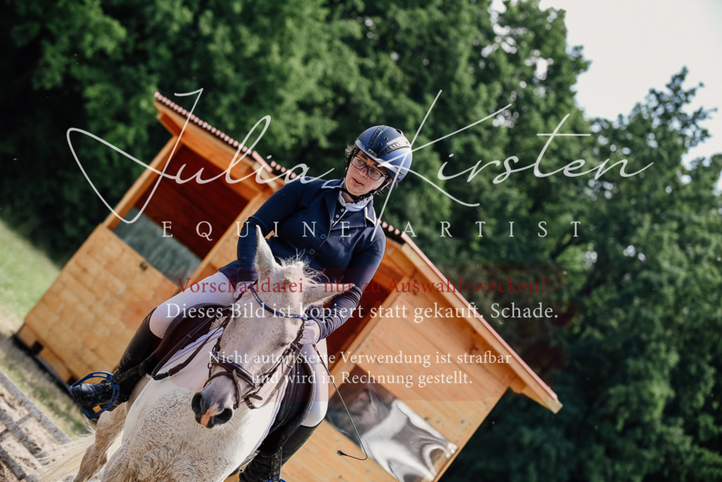 DSC_1817 | Pferde- und Turnierfotografie in Westsachsen. Pferdeportraits, Auftragszeichnungen und intuitive Kunst.