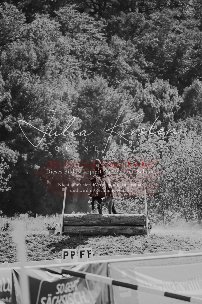 DSC_8554 | Pferde- und Turnierfotografie in Westsachsen. Pferdeportraits, Auftragszeichnungen und intuitive Kunst.