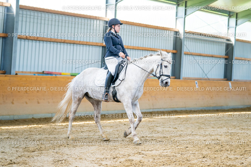 DSC06993 | Pferdegrafie