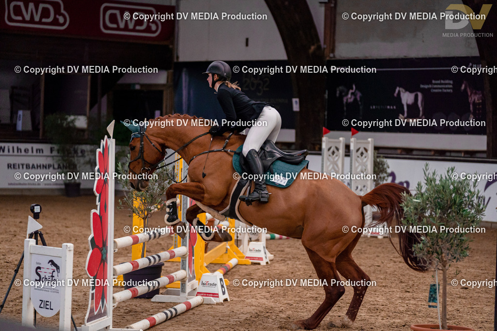 Kranichstein II Tag 1-169 | dv-media-shop - Realisiert mit Pictrs.com