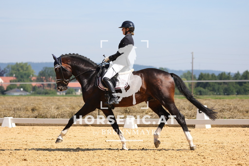 0P6A9631 | Willkommen bei Brunnmayr - Design & Fotografie – Ihrem Spezialisten für Reitturniere und Pferdeveranstaltungen in Oberösterreich, Salzburg und Bayern! Seit über 17 Jahren sind wir leidenschaftlich dabei.