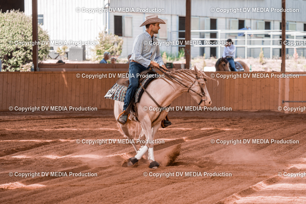 NE201006 | dv-media-shop - Realisiert mit Pictrs.com