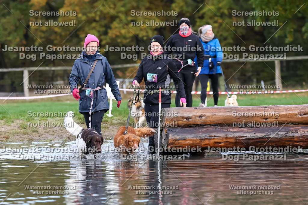 Dog Paparazzi - Strongdog 10-25-6823 | Dog Paparazzi Jeanette Grottendiek Fotografie & Videografie - Realisiert mit Pictrs.com