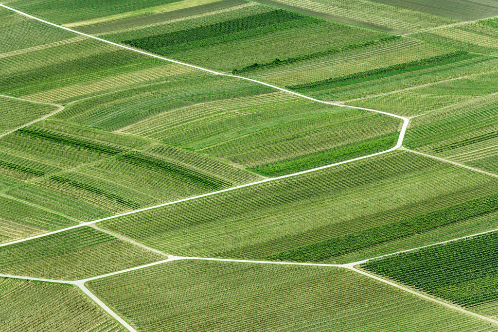 dr__dsc9707.jpg | BINGEN AM RHEIN 08.05.2018 Felder einer Weinbergs- Landschaft der Winzer- Gebiete in Bingen am Rhein im Bundesland Rheinland-Pfalz, Deutschland. // Fields of wine cultivation landscape in Bingen am Rhein in the state Rhineland-Palatinate, Germany. Foto: Daniel Reiter