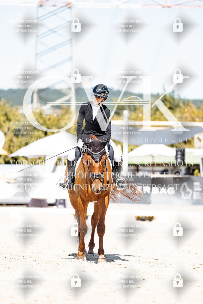 CK909578 | Turnierfotografie Pferdefotografie Trier Rheinland-Pfalz Pferdesport Reitsport Tierfotografie Sportfotografie Pferdevideo Pferdevideografie Equestrianvideography equestrianphotography  - Realisiert mit Pictrs.com