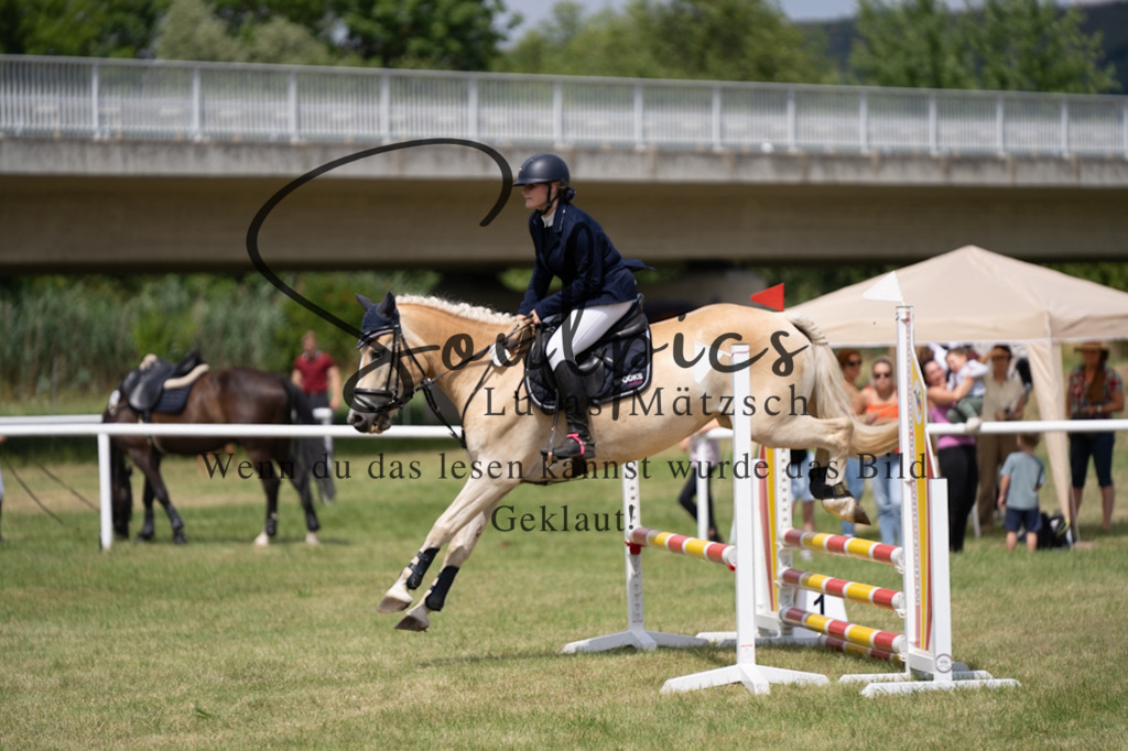 A7V00206 | Pferdefotograf