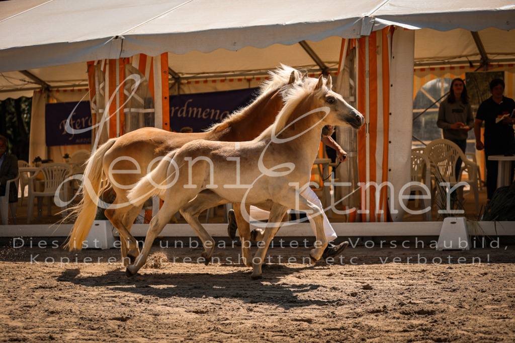 06.DoH00057 | Leoni Ertmer Photography - Realisiert mit Pictrs.com