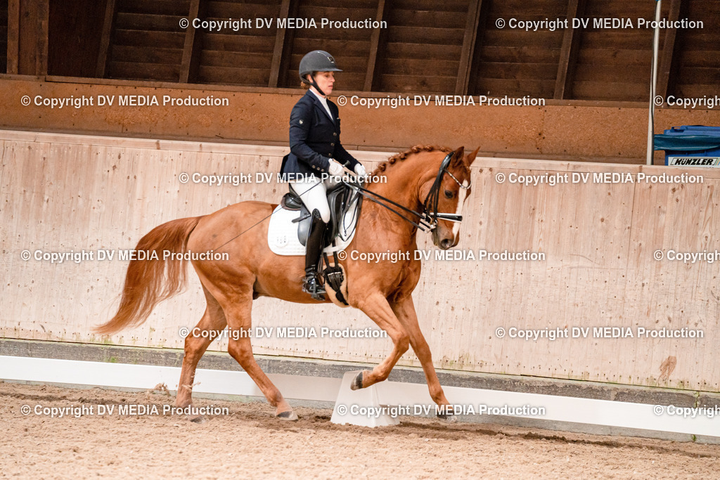 Dressur Tag 3-408 | dv-media-shop - Realisiert mit Pictrs.com