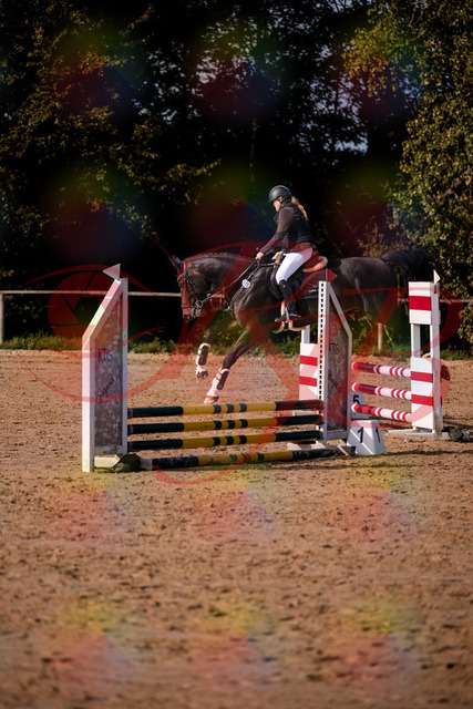 2026_10_03_Siefer-Hof_154341_Z81_61830249 | Professionelle Reitsport-, Turnier- und Eventfotografie von Robert Broda. Galerien mit ausgewählten und bearbeiteten Bildern direkt online ansehen und bestellen.