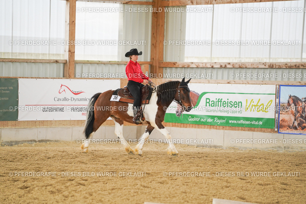 DSC04228 | Pferdegrafie