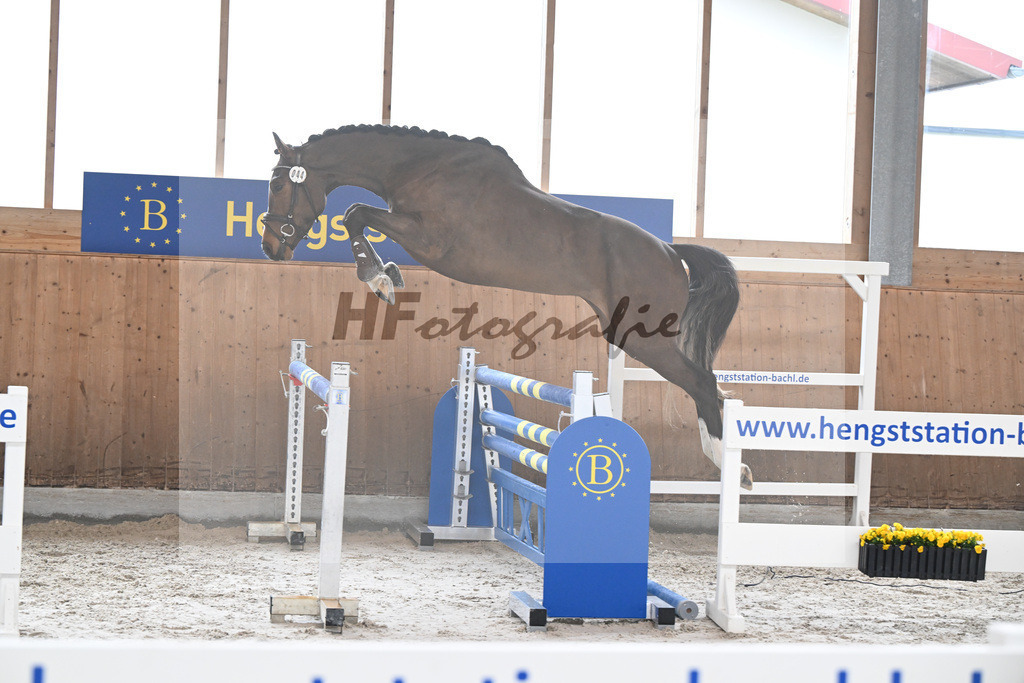 Kat-Nr. 44 Uganos Quabri Sitte v. Ugano Sitte_Keitel u Eder_14260140 | hf-fotografie - Realisiert mit Pictrs.com