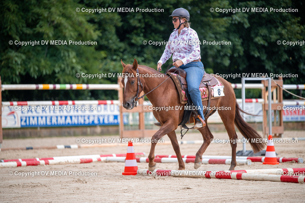 ZS2_3806 | dv-media-shop - Realisiert mit Pictrs.com