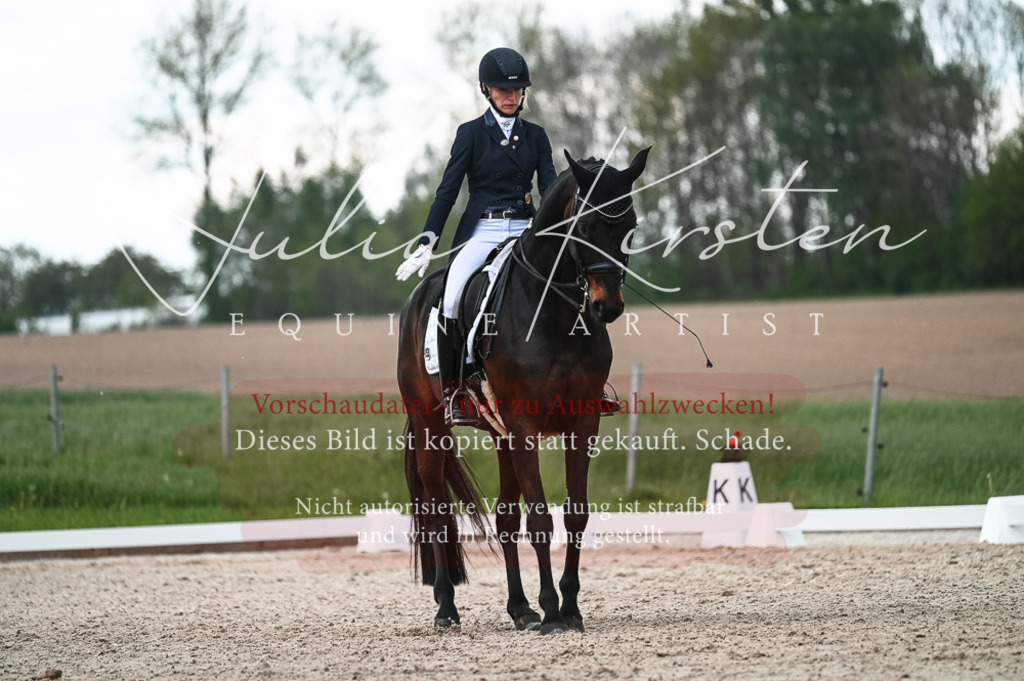 20230514_JK-Röhrsdorf-21-292 | Pferde- und Turnierfotografie in Westsachsen. Pferdeportraits, Auftragszeichnungen und intuitive Kunst.