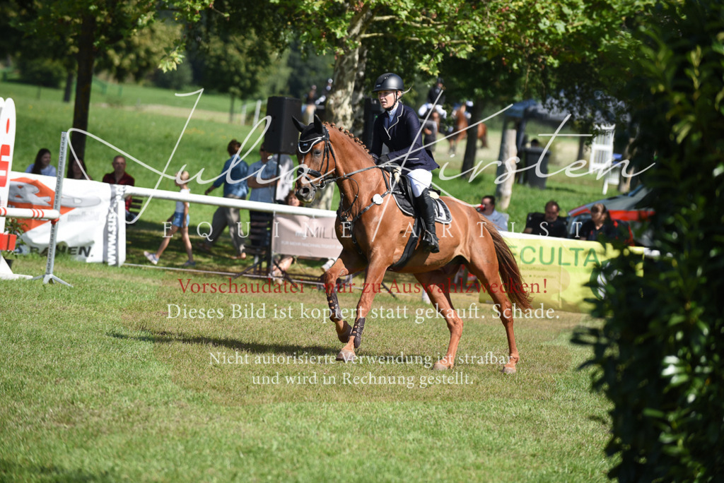 DSC_9221 | Pferde- und Turnierfotografie in Westsachsen. Pferdeportraits, Auftragszeichnungen und intuitive Kunst.
