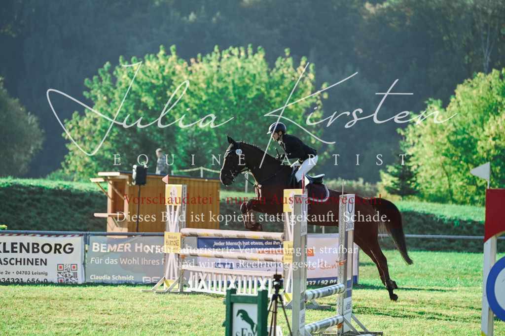 DSC_4406 | Pferde- und Turnierfotografie in Westsachsen. Pferdeportraits, Auftragszeichnungen und intuitive Kunst.