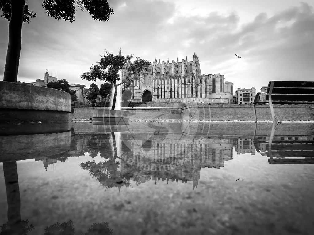 MR-2017-11-29-La Seu-0001 | DCIM\105GOPRO\GOPR7865.JPG