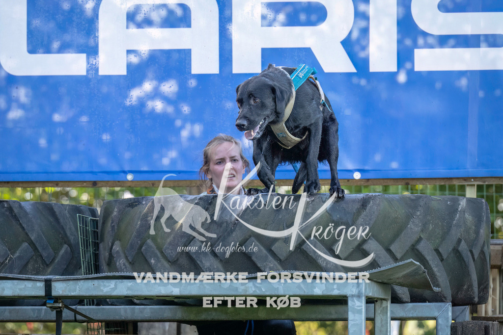 1046--4 | kk-dogfotos