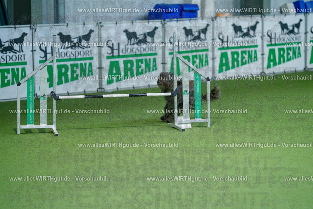 @allesWIRTHgut_Tierfotografie - www.allesWIRTHgut.de - 2604251004-7R509566 | Professionelle Tierfotografie in Mönchengladbach von Daniel Wirth (allesWIRTHgut). Liebevolle & natürliche Bilder von Hunden & Katzen für unvergessliche Erinnerungen.