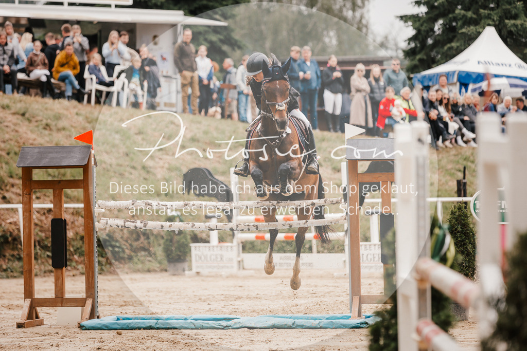 3I6A2105 | Stimmungsvolle Portraits und Reitsportfotografie im Ruhrgebiet und im Münsterland.

Pferdefotografie, Hundefotografie, Tierfotografie, Reportagen, Portraits von Tier und Mensch, Turnierfotografie in Bochum, Recklinghausen, Marl, Haltern am See, Dülmen.. - Realisiert mit Pictrs.com
