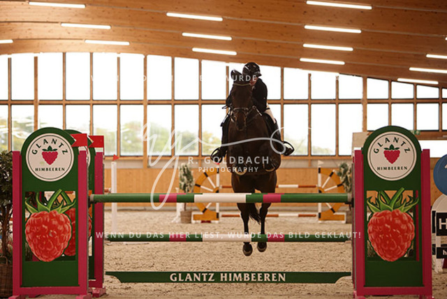 1J2A8017Katja Krumstroh_ Centauer 3_ Kn107_ Glantz_ Hohen Wieschendorf | Foto- und Videografie für alles rund ums Pferd. Hochwertige Bilder und Videos vom Spring- und Dressurreiten, Voltigieren & mehr. Jetzt aktuelle Veranstaltungen und Preise im Shop ansehen. - Realisiert mit Pictrs.com