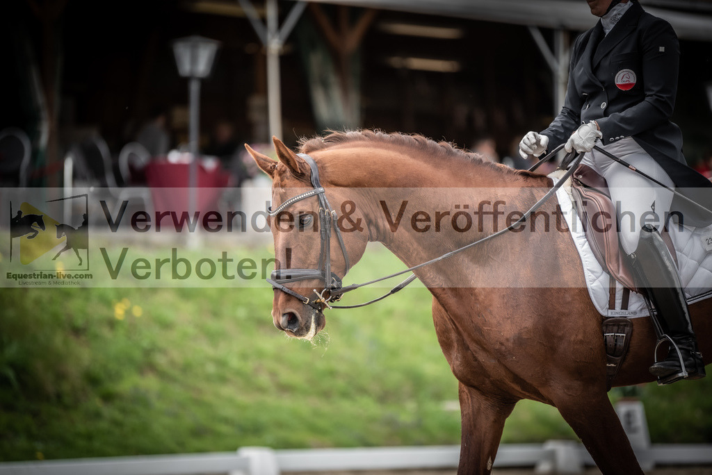 DSC_2646 | equestrian-live-com