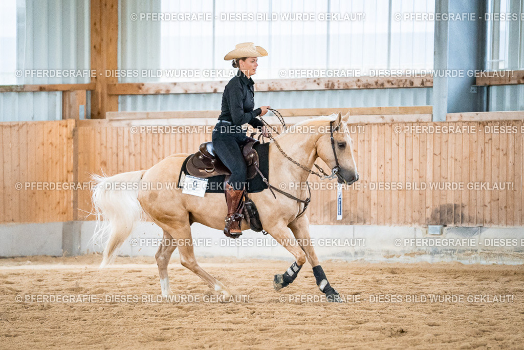 DSC03018 | Pferdegrafie