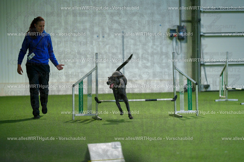 7R507043 | Professionelle Tierfotografie in Mönchengladbach von Daniel Wirth (allesWIRTHgut). Liebevolle & natürliche Bilder von Hunden & Katzen für unvergessliche Erinnerungen.