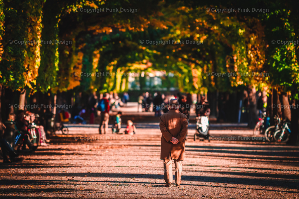 Augarten im Herbst | Entdecken Sie faszinierende Landschaftsbilder aus aller Welt. Von majestätischen Bergen bis zu wunderschönen Seen´n, meine Galerie bietet einzigartige Wandbilder, die jeden Raum bereichern. 