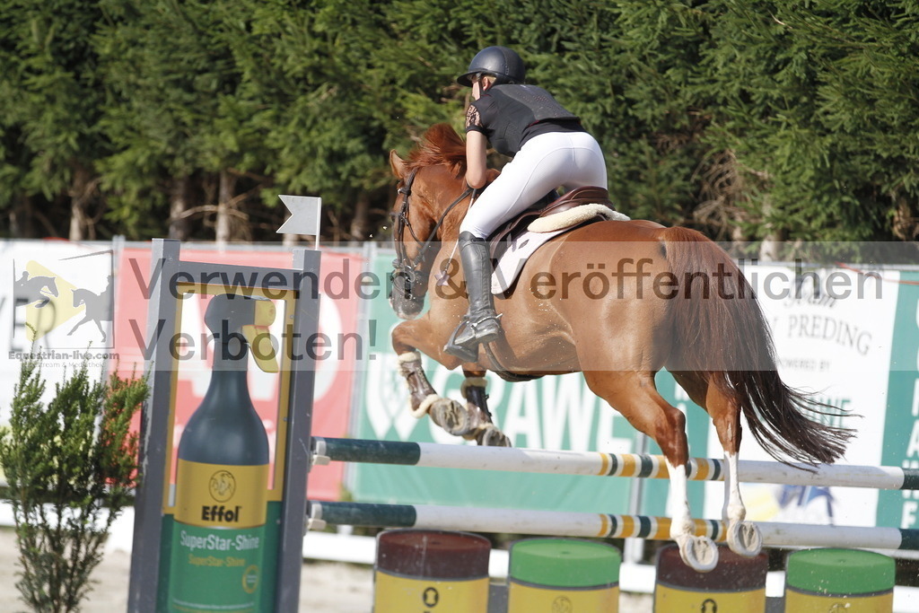 _MG_6505 | equestrian-live-com