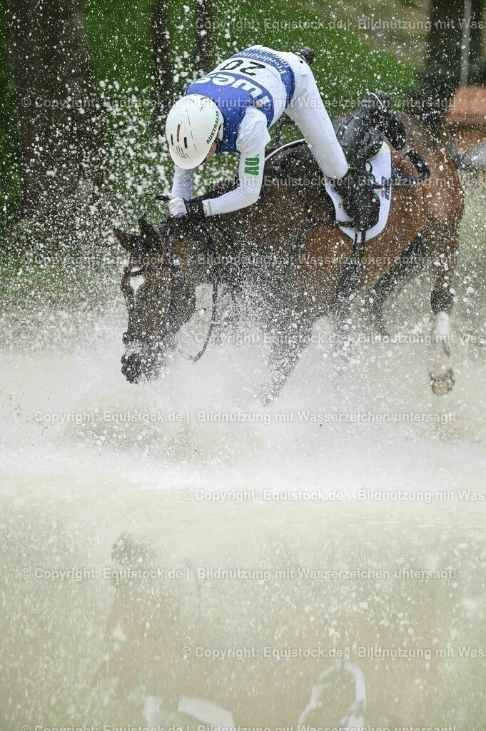 20230513_CCI4_Gelände_0250 | equistock