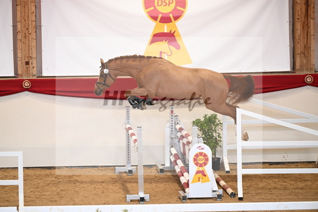 Kat.-Nr. 26 v. Emerald van het Ruytershof_Schep_2251155 | hf-fotografie - Realizzato con Pictrs.com