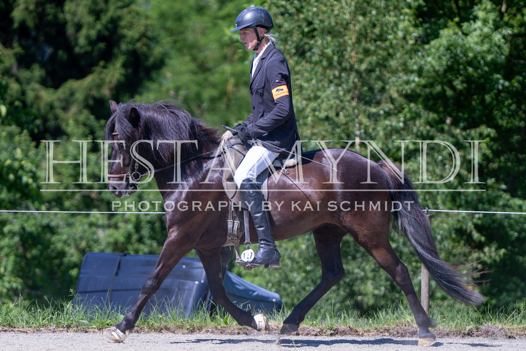 KAI09929 | Ihr sucht einen Fotografen für eure nächste OSI? Ich begleite auch euer Turnier für Islandpferde fotografisch.  - Realisiert mit Pictrs.com
