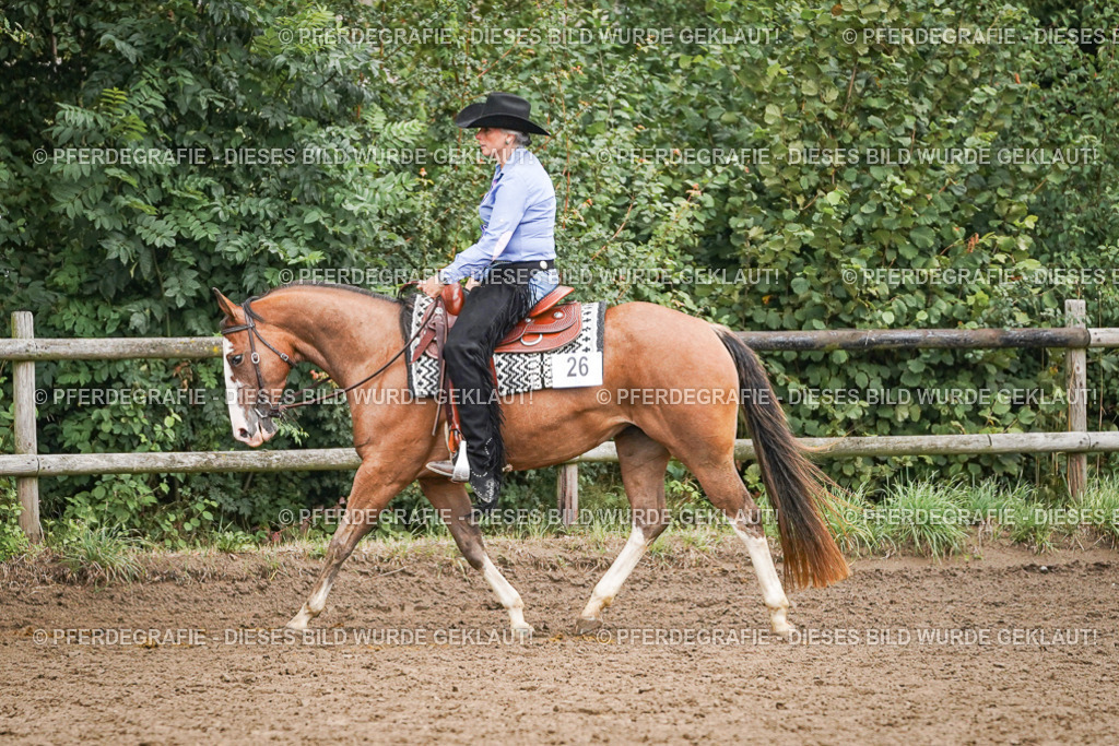 DSC02561 | Pferdegrafie