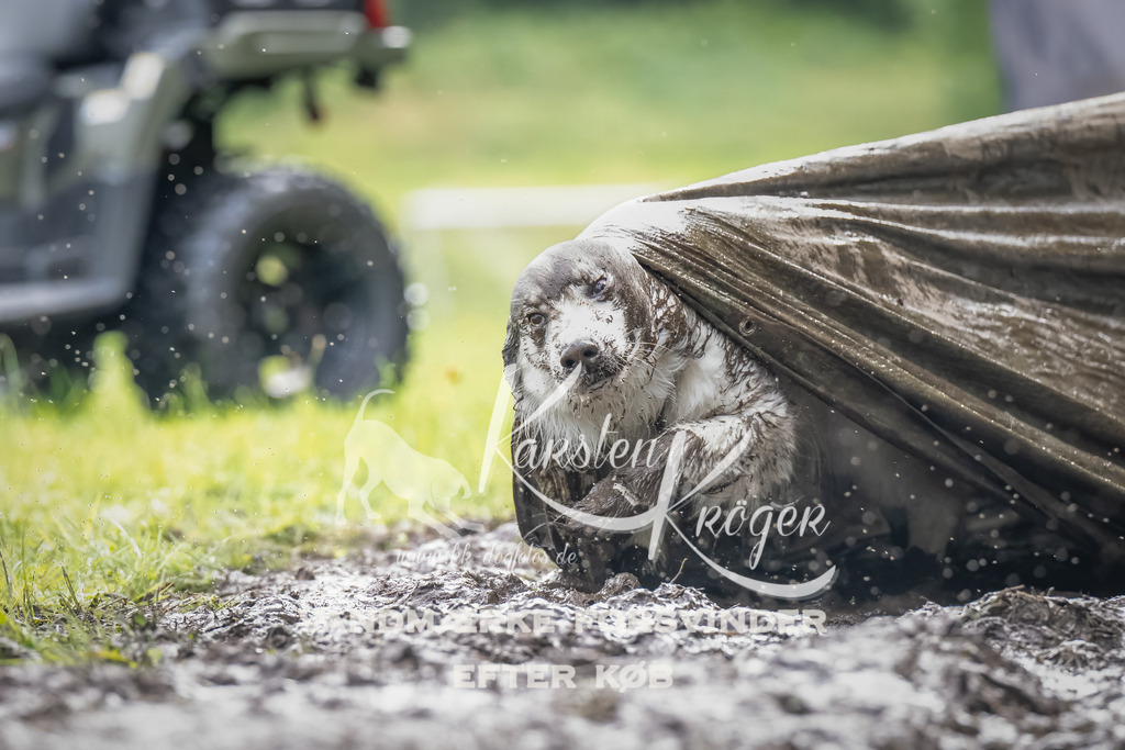 0913_ZZ90446-Bearbeitet | kk-dogfotos
