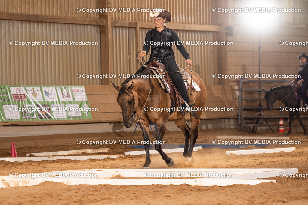 NID00612 | dv-media-shop - Realisiert mit Pictrs.com