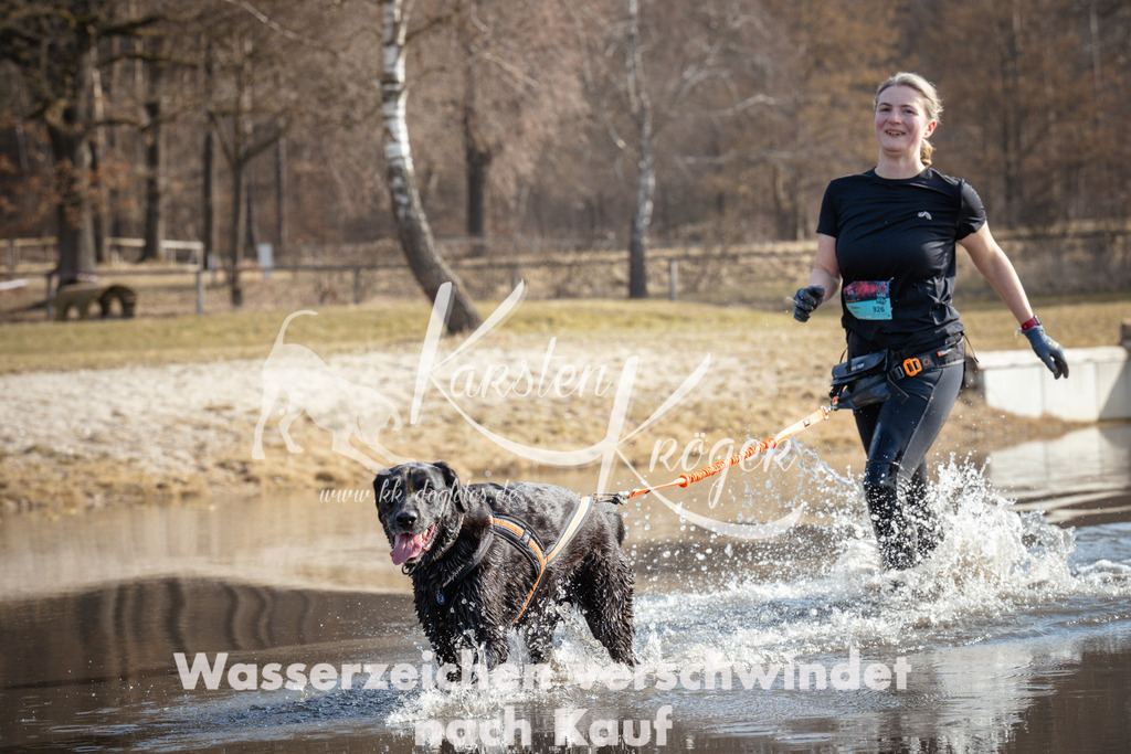 1119_ZZ93794 | kk-dogfotos