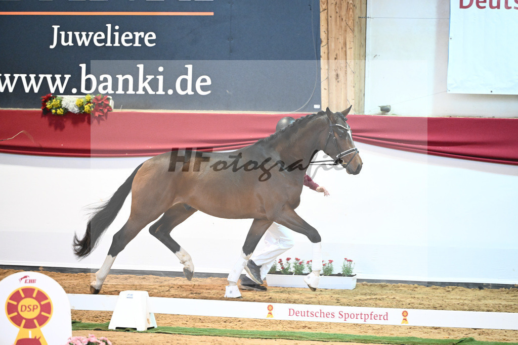 Kat-Nr. 14 Christ x Quattro B_Goeth_43231681 | hf-fotografie - Realisiert mit Pictrs.com