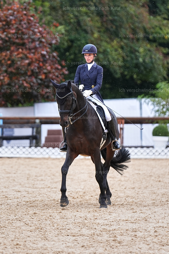 07-123-DRESSUR  S___  -Marixx-5115 | working equitationturnier fotograf videograf stoibphotography marixx film working equitation deutschland reitsport turnierfotografie eventfotografie equestrian events