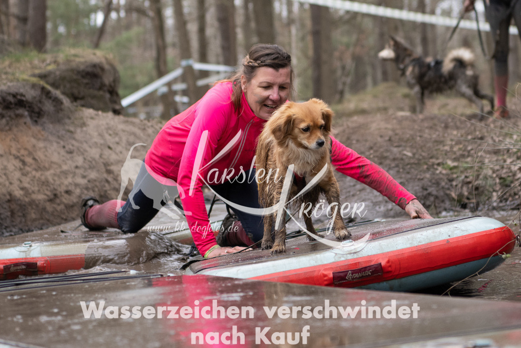 1250DSC_8503-2 | kk-dogfotos