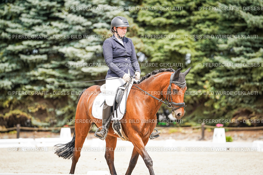 DSC03878 | Pferdegrafie