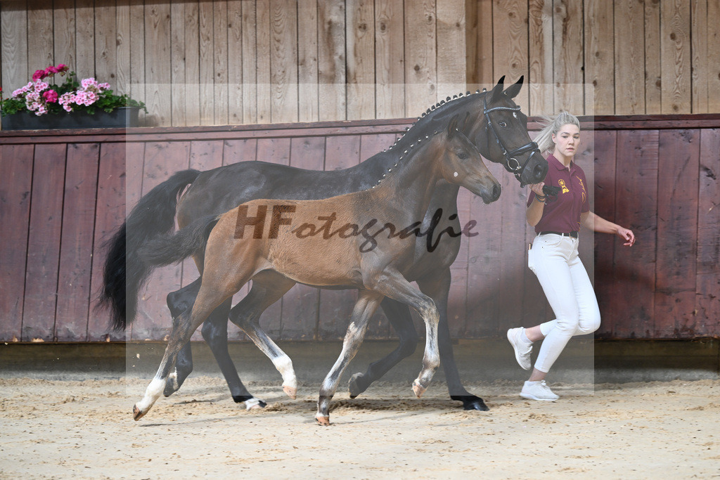 Kat-Nr. 3 HF Shu Fu_Sepp_26230030 | hf-fotografie - Realizzato con Pictrs.com