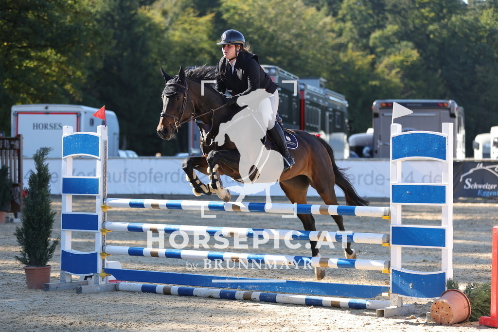 0P6A0827 | Willkommen bei Brunnmayr - Design & Fotografie – Ihrem Spezialisten für Reitturniere und Pferdeveranstaltungen in Oberösterreich, Salzburg und Bayern! Seit über 17 Jahren sind wir leidenschaftlich dabei.
