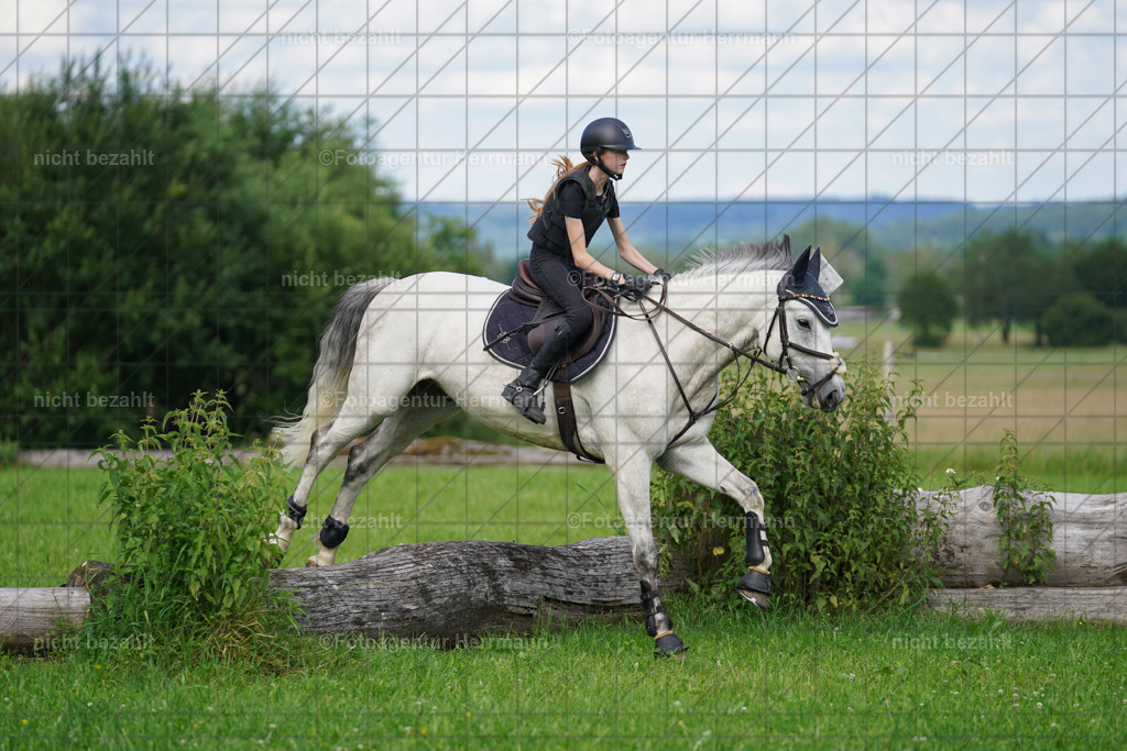 20240622-FAH07949 | Turnierfotografen Bayern, Reitsportbilder aus dem Geländekurs mit Felix Etzel auf dem Gut Waitzacker 2024