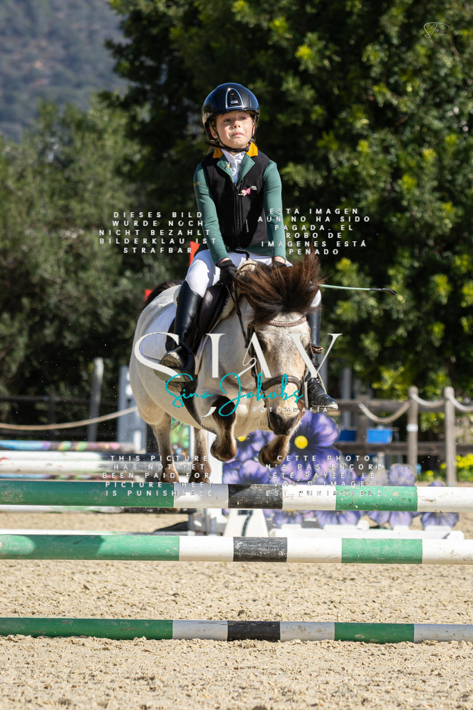 IMG_5953 | s-jay-photography - Realisiert mit Pictrs.com