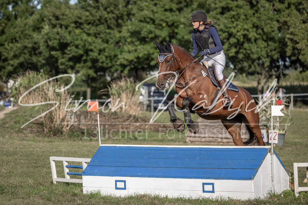 20250907-_3LI8698 | Tierfotografie Pferde, Hunde, Katzen, Haustiere.
Turnierfotografie Reitturniere, Reiten, Springreiten, Dressur in Hanau, dem Main-Kinzig-Kreis und dem Rhein-Main- Gebiet um Frankfurt