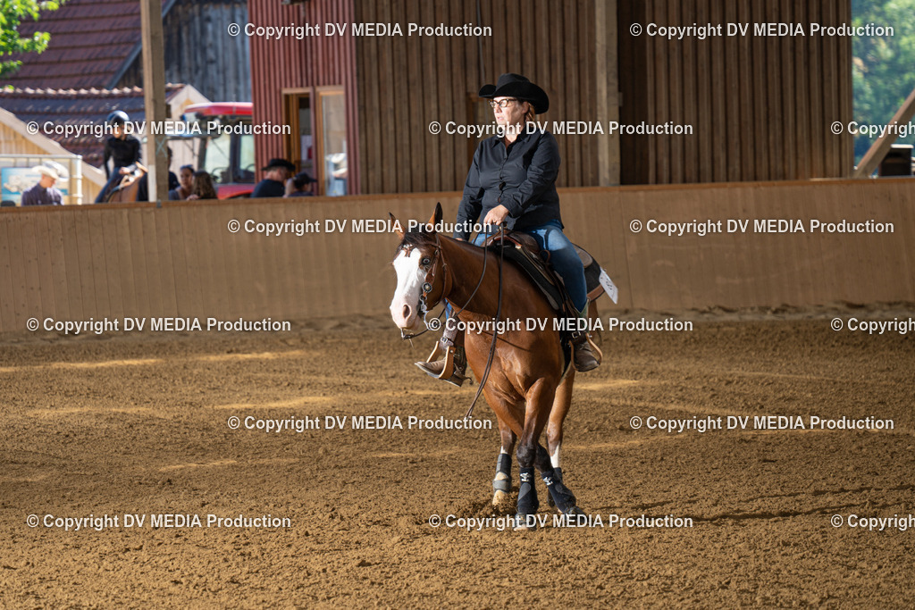 DSC00006 | dv-media-shop - Realisiert mit Pictrs.com