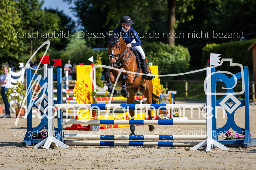 Donop24-ASpr-033 | MomenTaufnahmen Pferdesportfotos