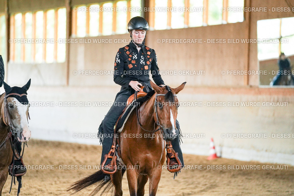 DSC05756 | Pferdegrafie