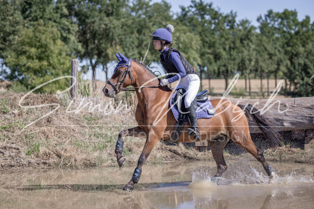 20260906-_3LI3762 | Tierfotografie Pferde, Hunde, Katzen, Haustiere.
Turnierfotografie Reitturniere, Reiten, Springreiten, Dressur in Hanau, dem Main-Kinzig-Kreis und dem Rhein-Main- Gebiet um Frankfurt