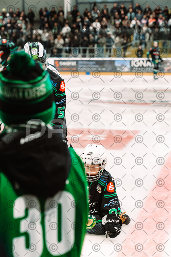 Alligators_vs_Bayreuth_10_2025-53 | Höchstadt Alligators Fotogalerie: Eishockey-Action aus Franken. Professionelle Spielfotos, Portraits & Stadionbilder zum Download. Jetzt entdecken! - Realisiert mit Pictrs.com